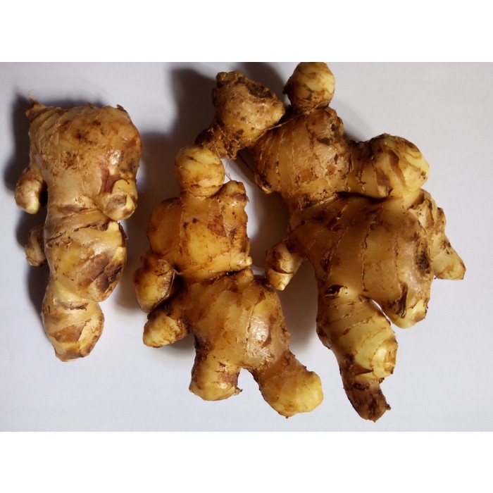 

TRADISIONALMINUMAN- JAHE PUTIH -MINUMAN-TRADISIONAL.