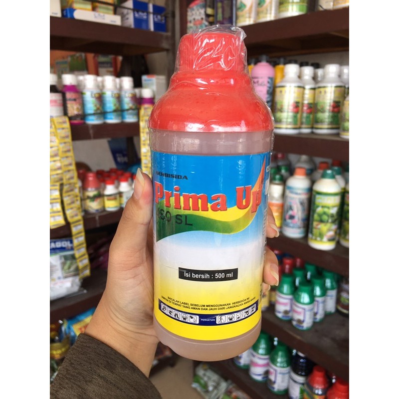 herbisida PRIMA UP 480 sl 500ml membasmi rumput sampai ke akar