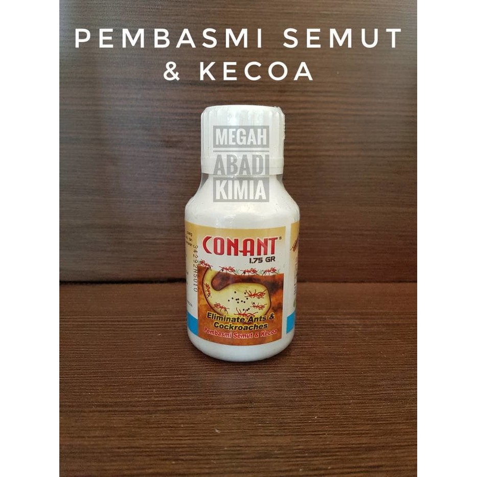 Conant racun semut dan kecoa