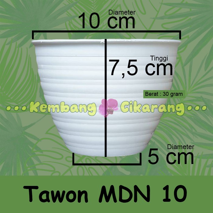 (LUSINAN) MDN TAWON UK 10 (10cm) (12pcs) Pot bunga model tawon kecil mungil murah cantik warna warni