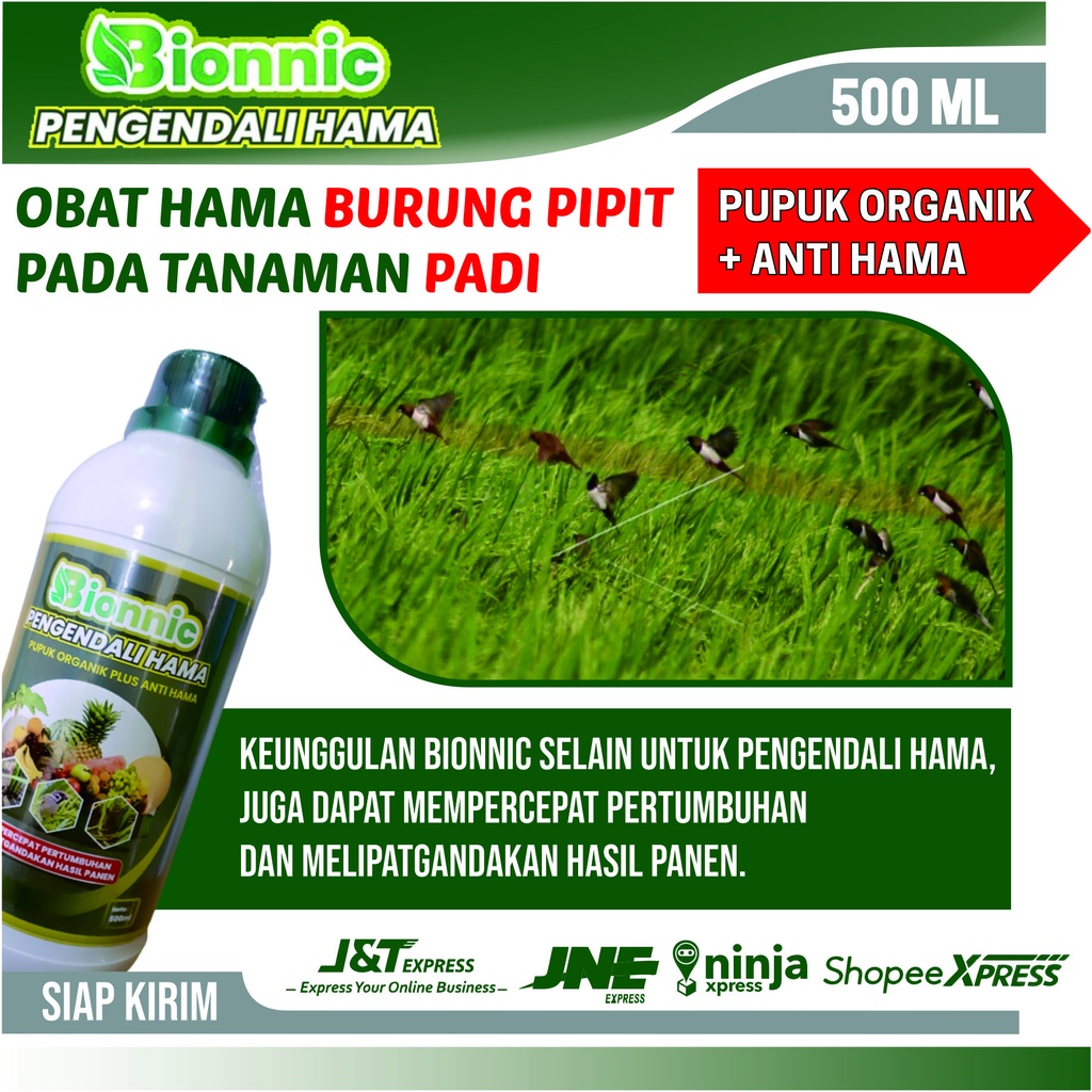 Obat Pengusir Hama Burung Pipit - BIONNICI Obat Pengendali Hama Tikus dan Burung - Obat Pengusir Ham