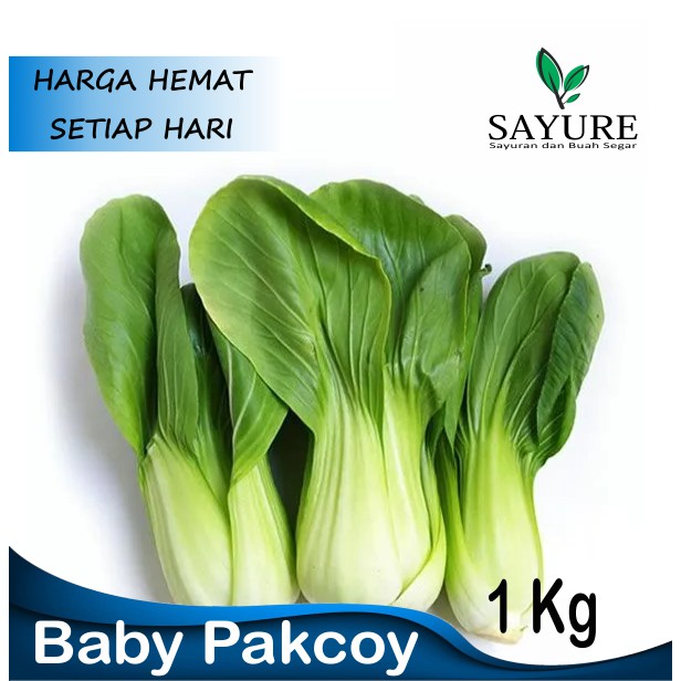 

SAWI POKCAY PAKCOI FRESH SAYUR BERKUALITAS 1 KG