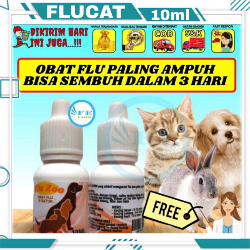 FLU ZOO Obat Flu Kucing Pilek Ngorok Infeksi Pernafasan Kucing MANJUR FEFARM DIJAMIN