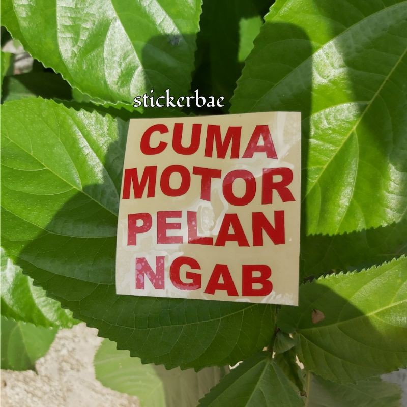 STIKER AJARIN DONG BANG JAGO STICKER HARTA TAHTA  CUTTING CUSTOM