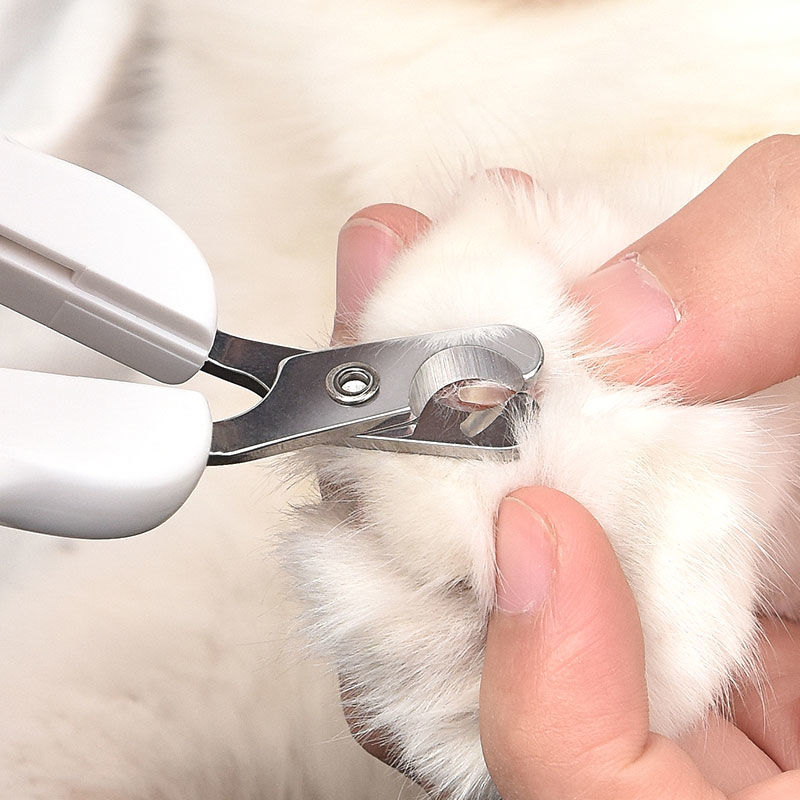 Pet Nail Dog Clipper Professional Cat Stainless Steel Nail Cat Dog Cleaning Tools Aso Manikyur na Kagamitan sa Paglilinis