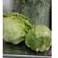 

head lettuce 5kg
