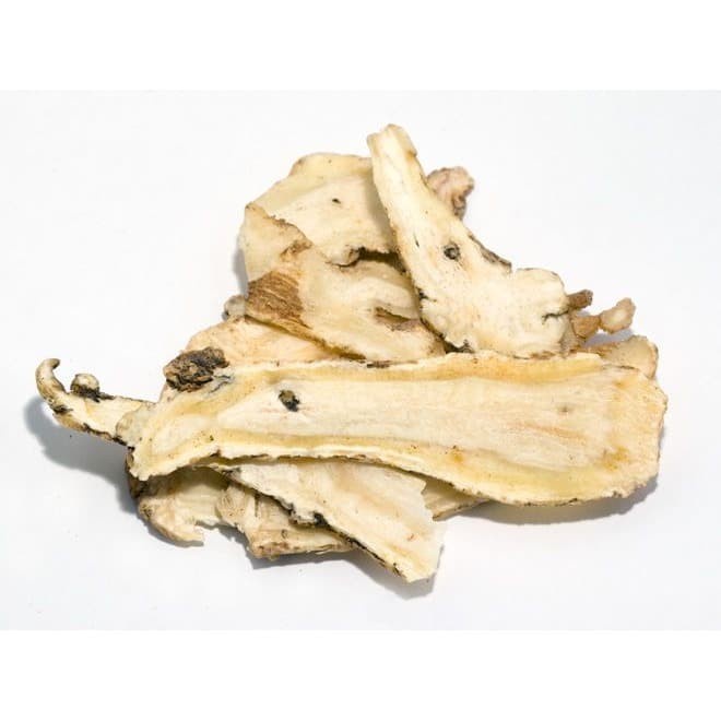 

Terlaris! Pum Danggui Tao Angelica Sinesis Chinese Angelica Root Fresh