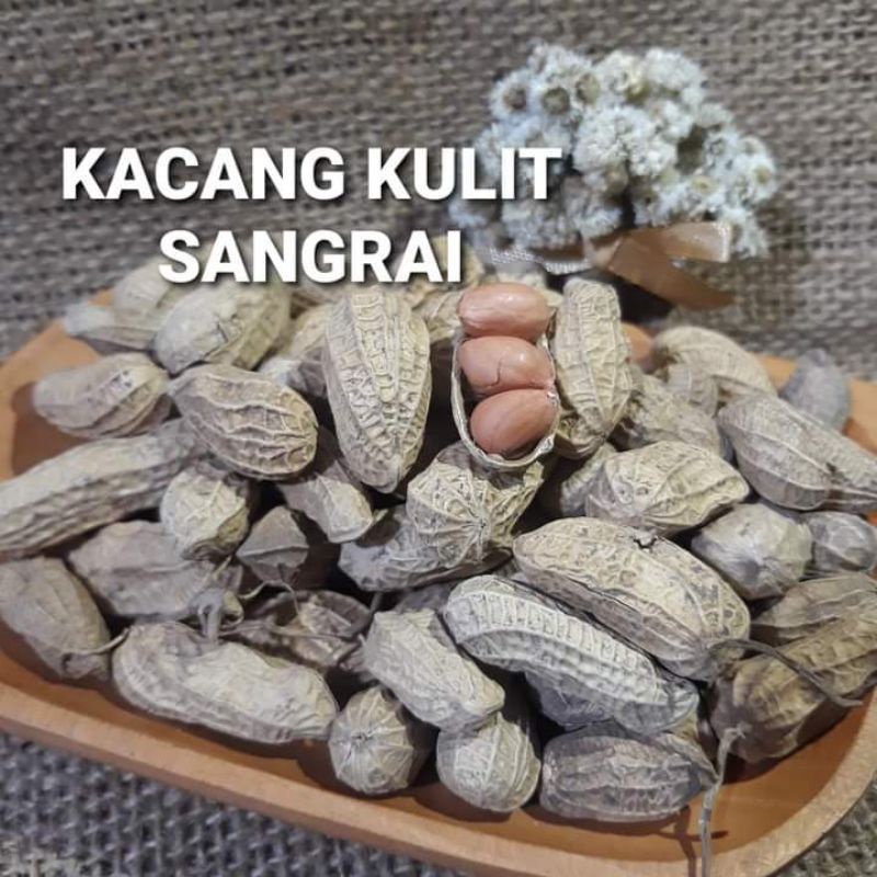 

KACANG KULIT SANGRAI KILOAN TERMURAH