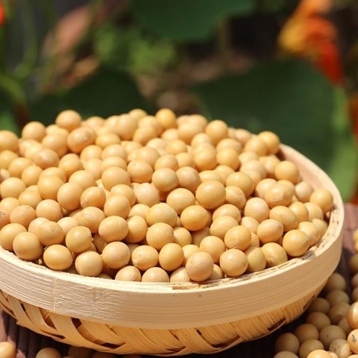 

Kacang Kedelai Curah 500gram