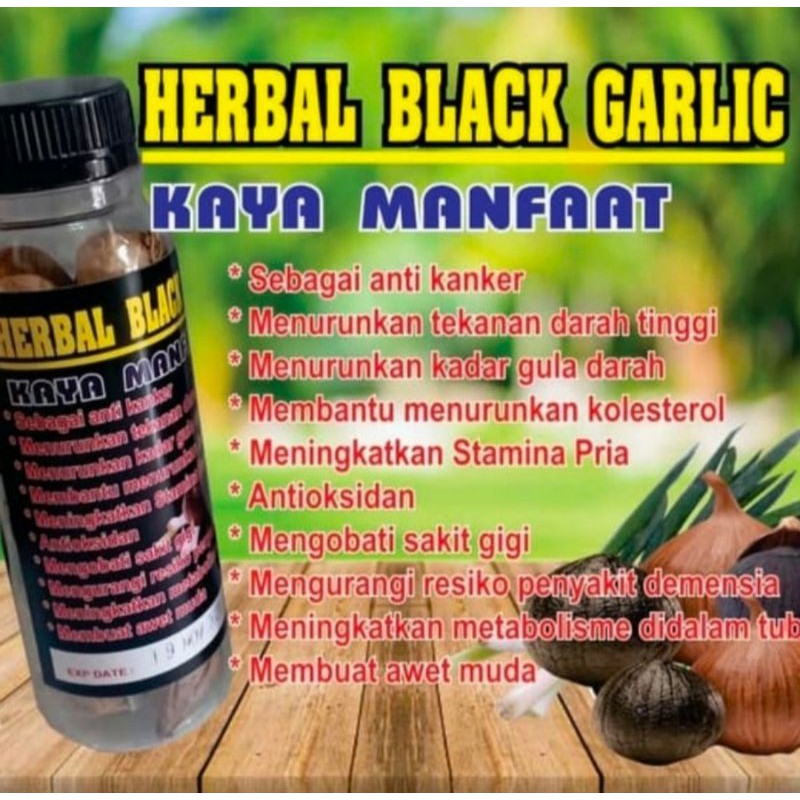 Bawang Tunggal | Baawang Lanang oven 90gr