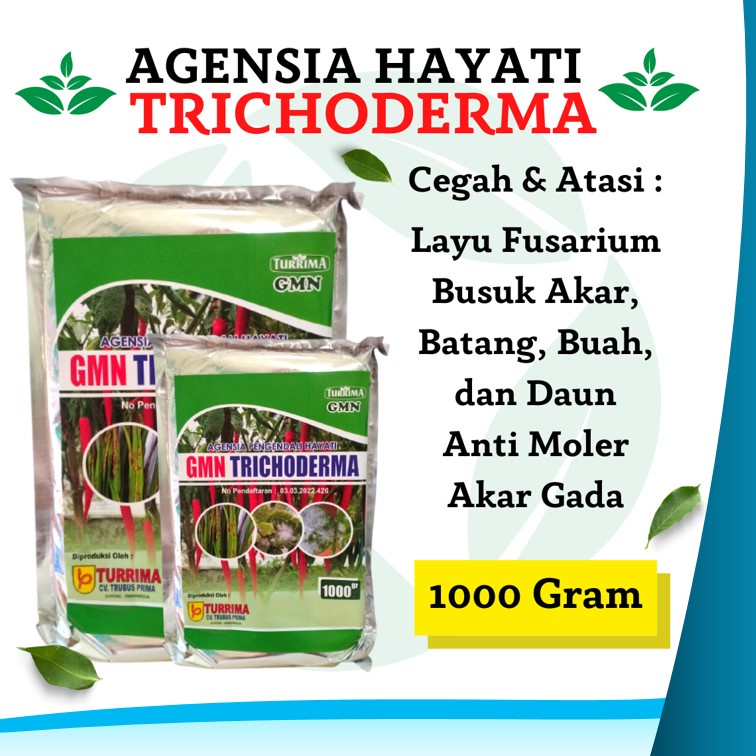 Trichoderma SP, Agensia Pengendali Hayati Cegah Busuk Pada Akar Dan Batang, Pupuk Tricoderma Cegah J