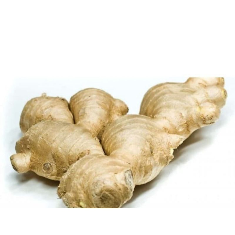 

JAHE GINGER PEDAS HANGAT 100GR