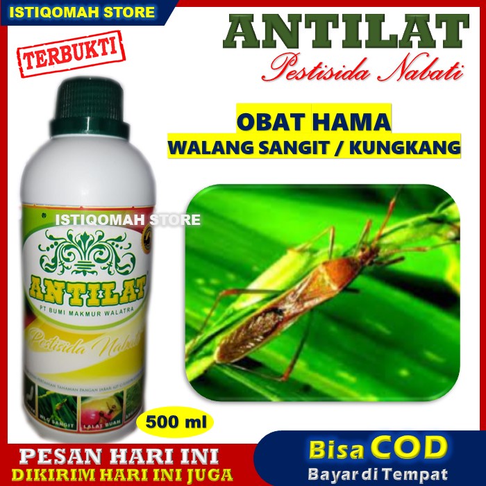 ANTILAT Pestisida Organik Obat Hama Tanaman Padi Seperti Walang Sangit (Kungkang), Tungro pada Padi - Obat Pembasmi Hama Walang Sangit Pada Padi - Pestisida Untuk Hama Walang Sangit - Racun Hama Walang Sangit Paling Ampuh - Obat Pembunuh Walang Sangit