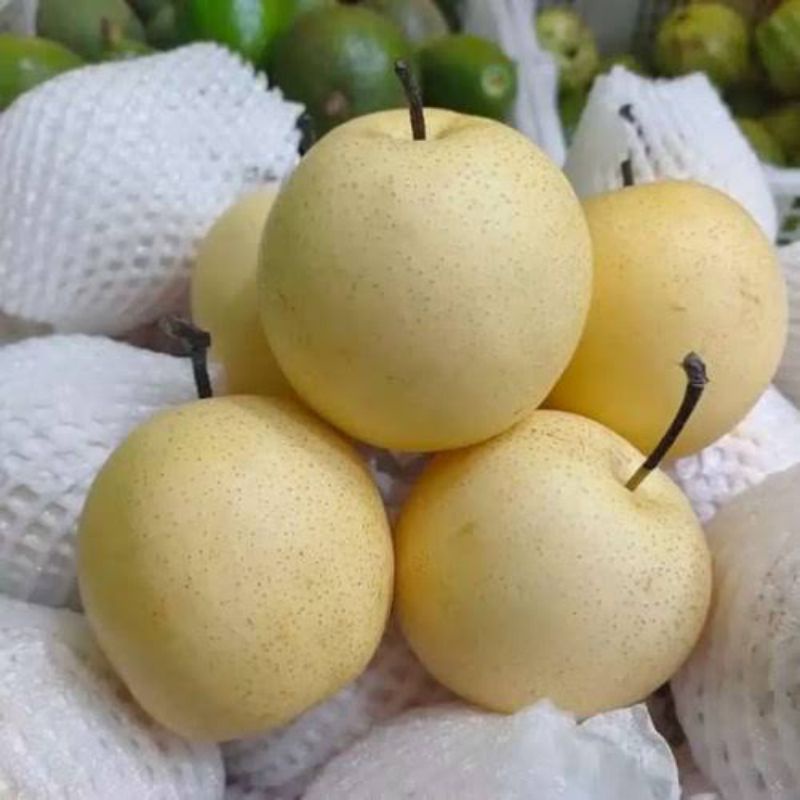 Jual Pear Century 1kg Shopee Indonesia 