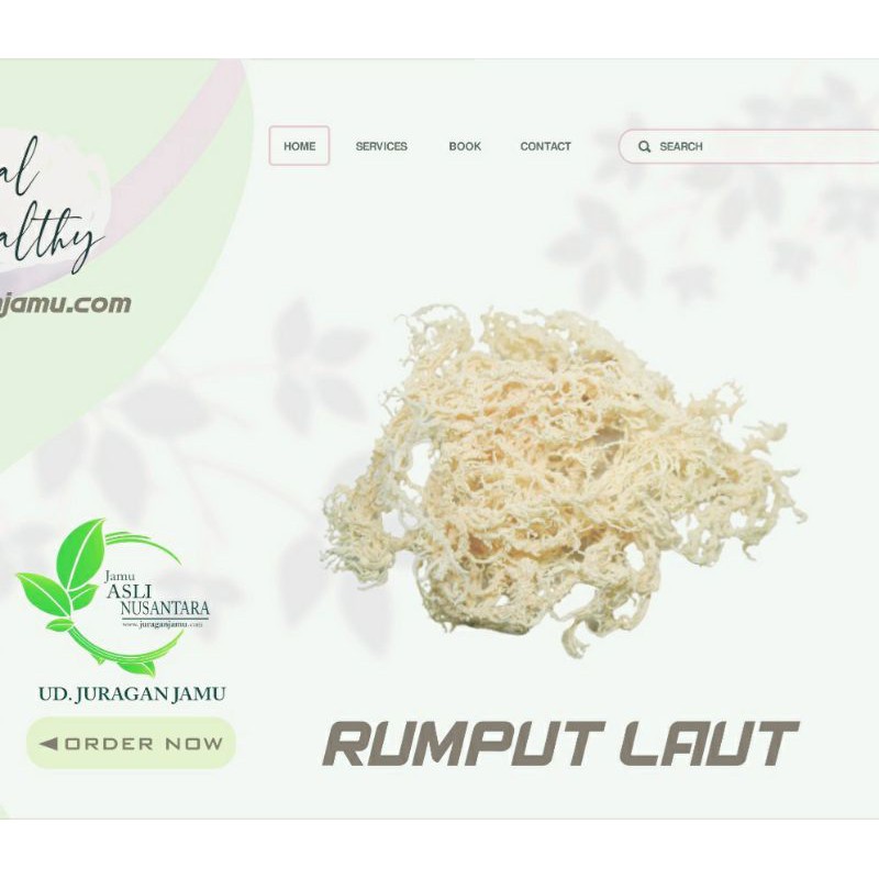 

BUBUK Rumput Laut serbuk / Kapsul / teh celup