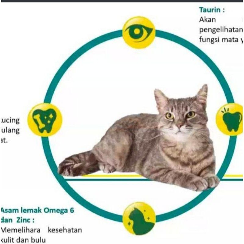 makanan kucing LEZATO setara bolt repack 1kg