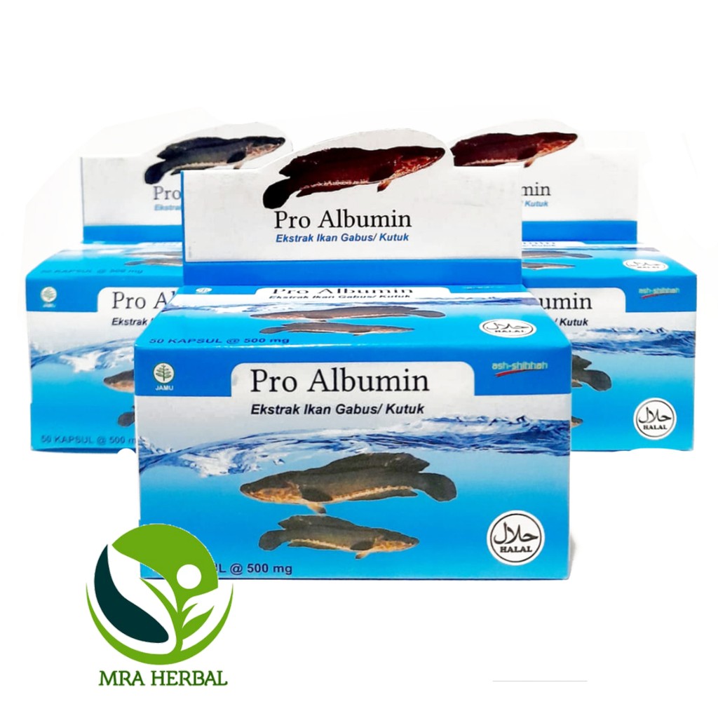 Pro Albumin Ash-Shihhah Kapsul Ekstrak Ikan Gabus / SAH Ekstrak Albumin Ikan Gabus 60 Kapsul / Azzayan Albumin Ekstrak Ikan Gabus / Albustamax 60 Kapsul