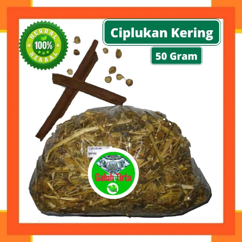 

CIPLUKAN CEPLUKAN KERING 50 GRAM - Physalis Angulata - MURNI - J