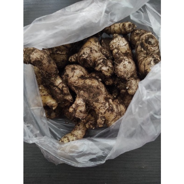 

Jahe 1/2 kg
