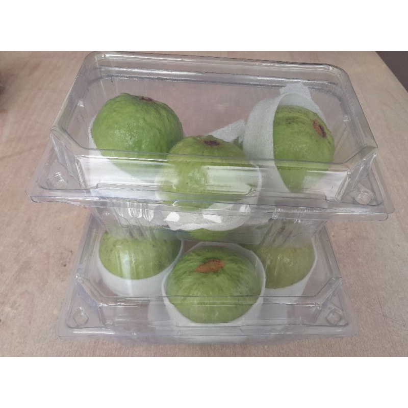 

Jambu Guava Merah Super Premium