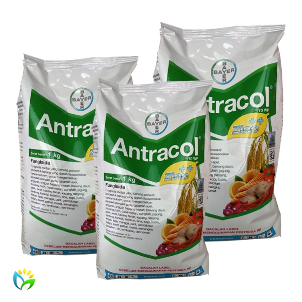 Fungisida Antracol