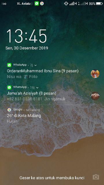 Buah  Paket Hemat 4bibit Benih Biji Buah Anggur