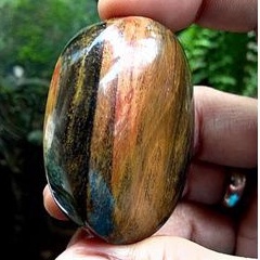 batu akik pancawarna fosil kayu(0273)