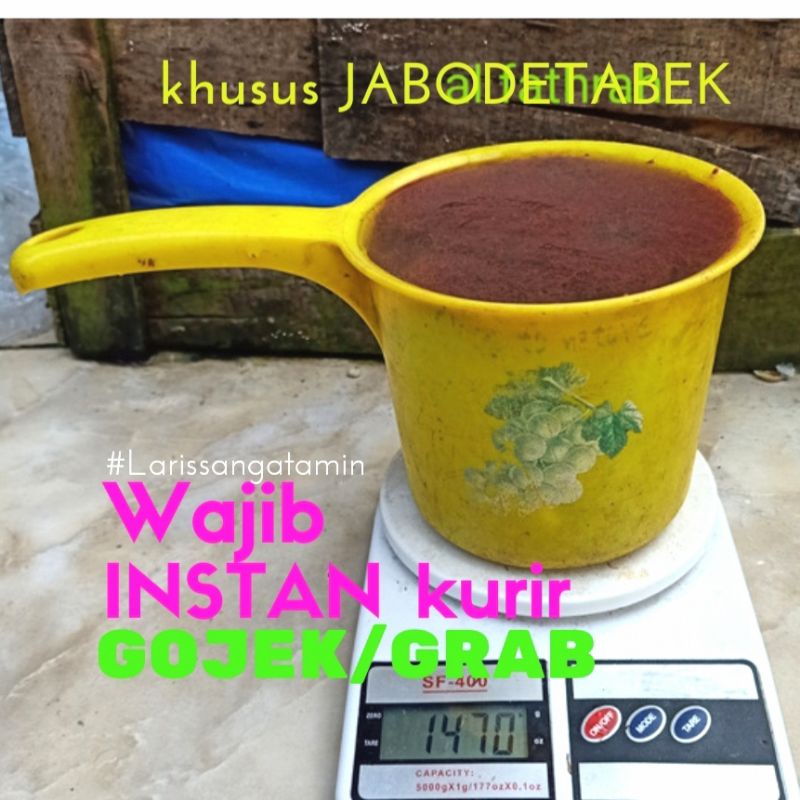 CACING SUTRA HIDUP Gayung (+-1350gr/5 Gelas), Pakan Hidup Ikan Hias Kesayangan #Larissangatamin....