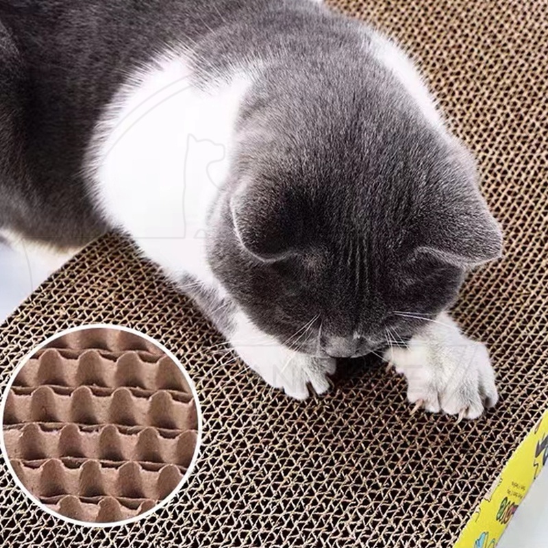 Mainan Papan Garukan Kucing Cat Toys Mainan Hewan Peliharaan