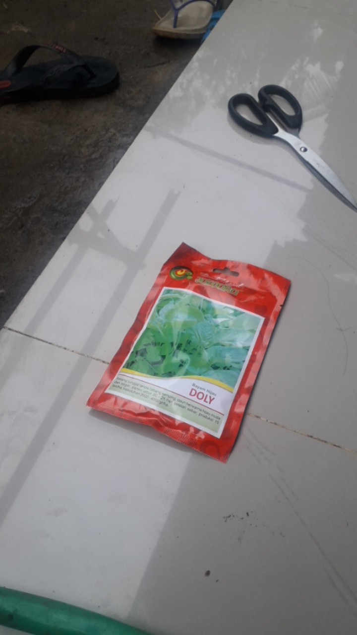 Isi 100 Gram Bibit Bayam Hijau Doly | Benih Bayam | Bibit Sayuran | Bibit Unggul Jawara