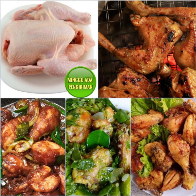 

Ayam Fresh Super Ukuran Besar 900-1KG Halal REQUES POTONG