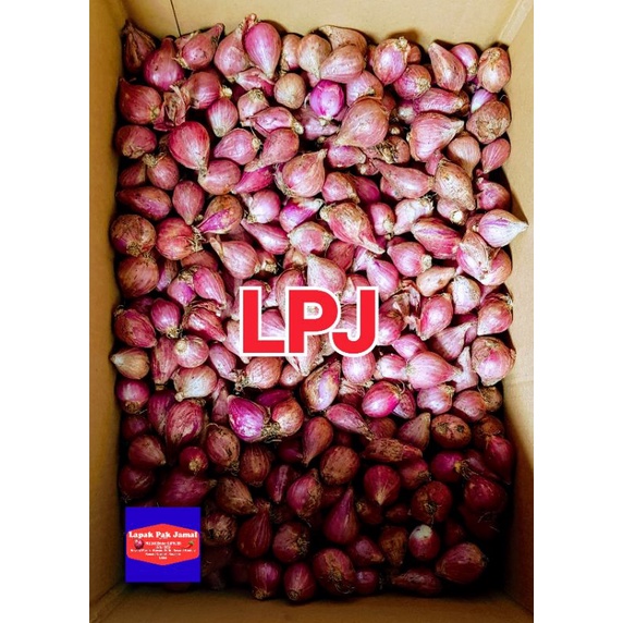 

Bawang MERAH BREBES SUPER - 1 Kg - LPJ