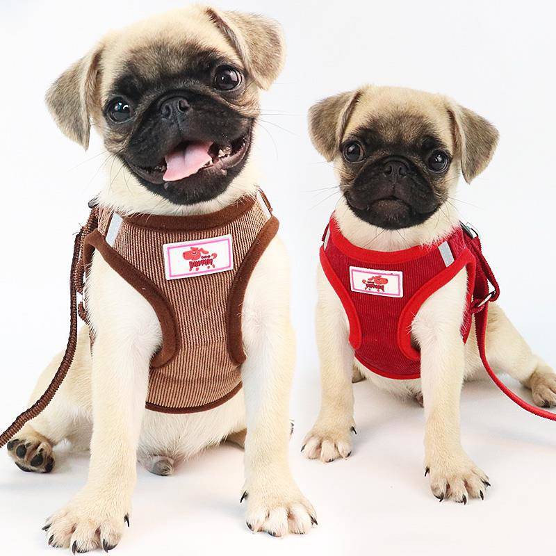 Tali Tuntun Strap Dada Untuk Anjing Kecil Sedang Shopee Indonesia