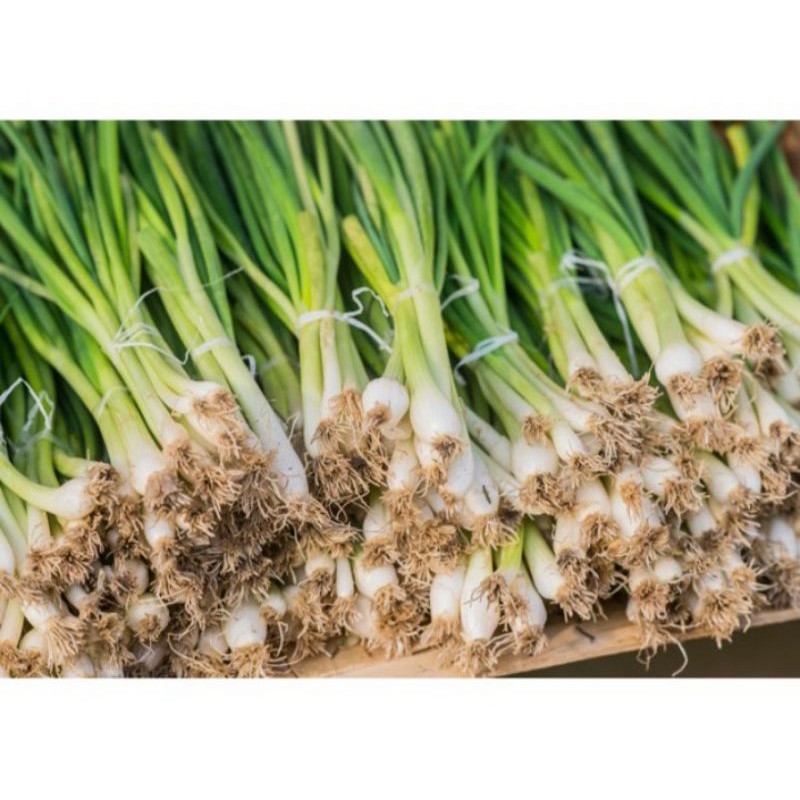 

DAUN BAWANG/500GRAM