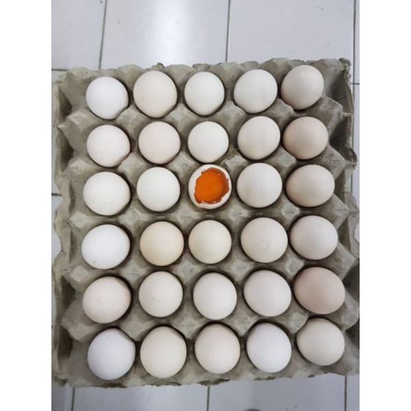 TELUR AYAM KAMPUNG OMEGA SUPER FRESH PER BUTIR