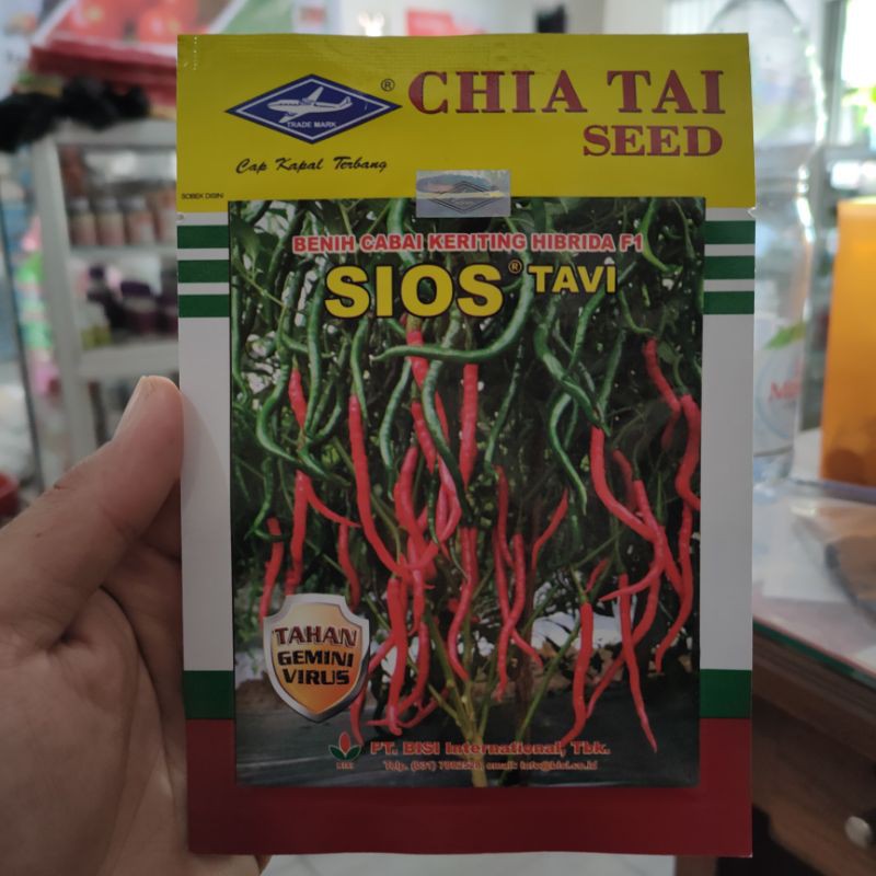 cabai keriting hibrida f1tahan virus SIOS tavi (5105)