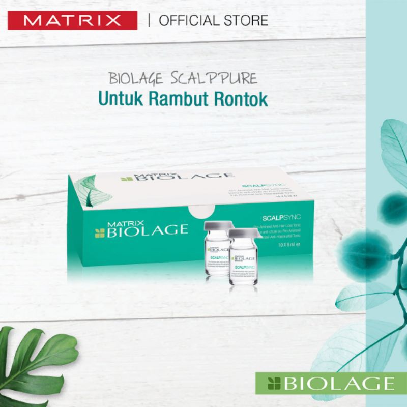 Matrix Biolage SCALPSYNC (Aminexil Hair Treatmen)