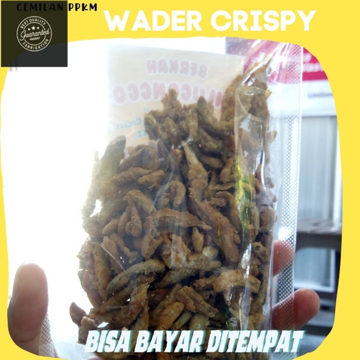 SNACK IWAK WADER GORENG CRISPY Asin Pedas