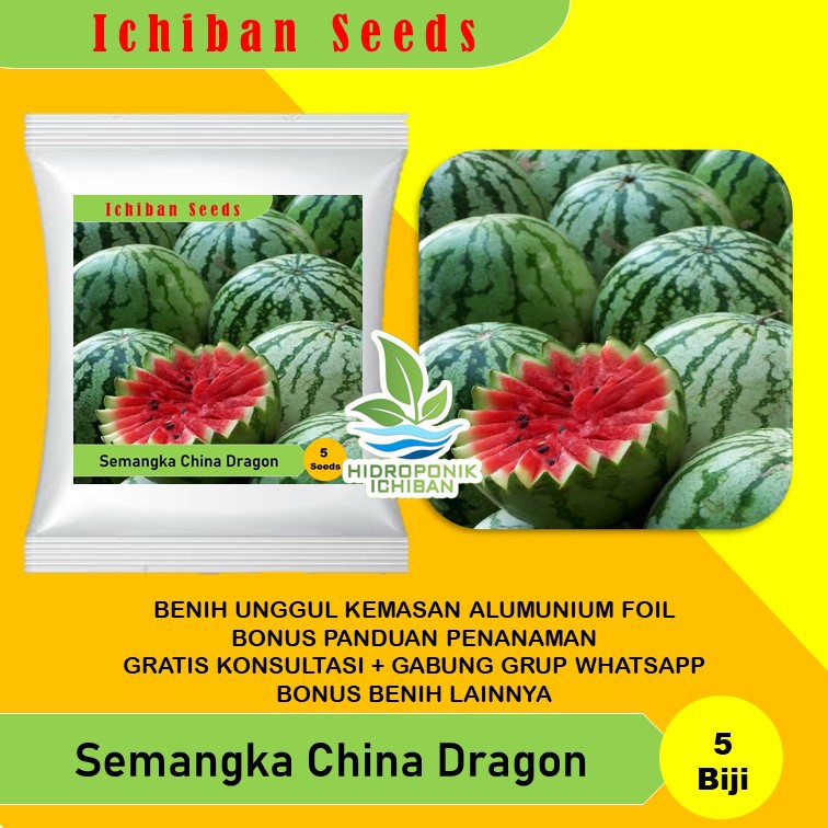 Benih Bibit Biji SEMANGKA CHINA DRAGON Kemasan Alumunium Foil