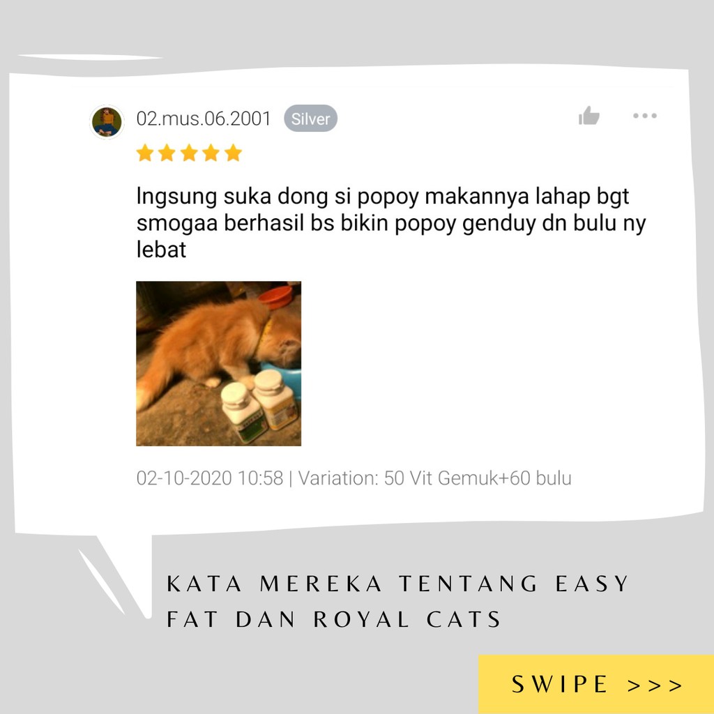 Vitamin Kucing untuk Nafsu Makan Easy Fat Eceran
