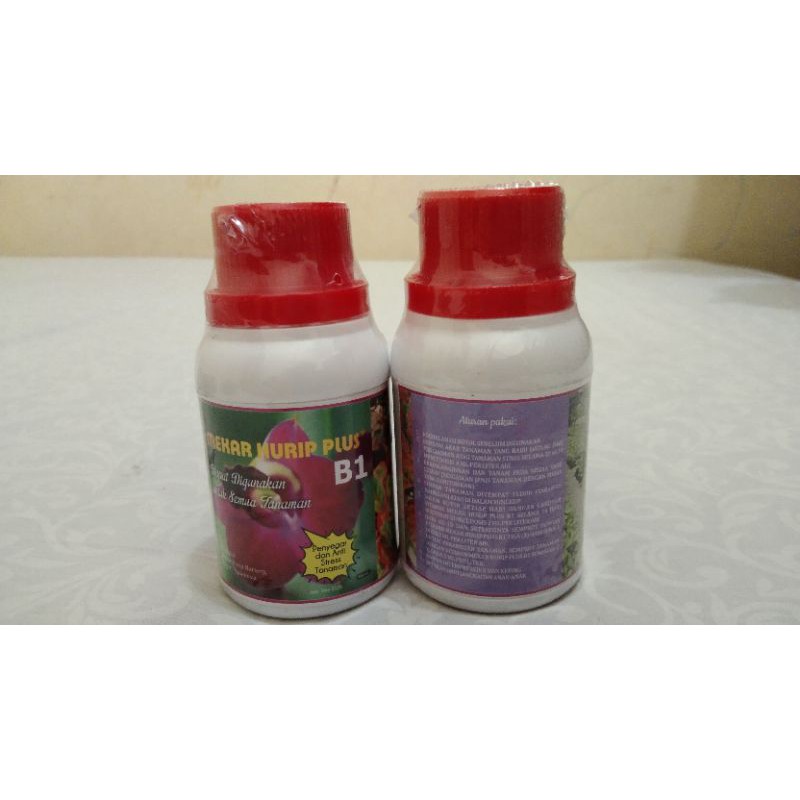 Mekar Hurip Plus B1
