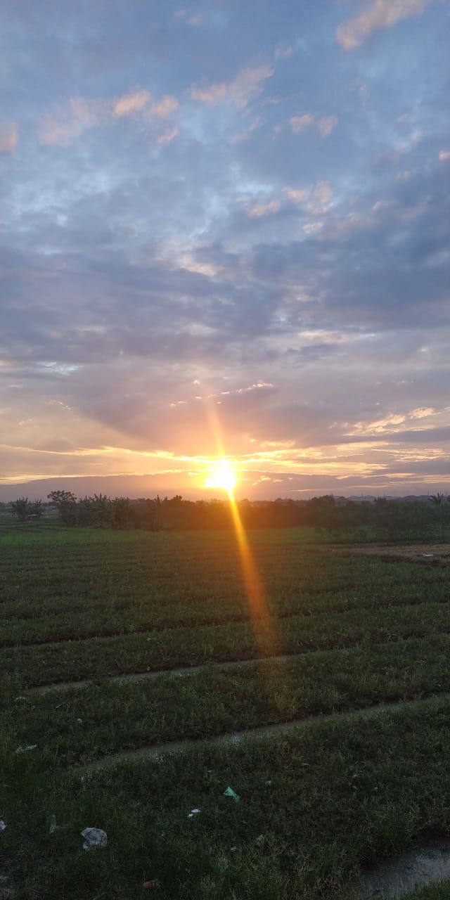 Batik Cowok Kualitas Original Model Regulare Kualitas Setara Mall Asli Luigi Batani Lb