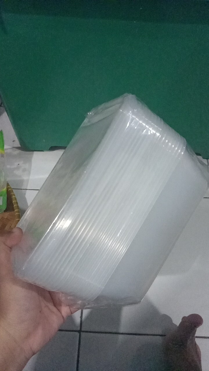 Isi 10 Thinwall Kotak Makan Box Makanan Plastik Bening 750ml