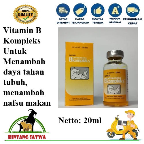 Vitamin B-Complex 20ml Injeksi