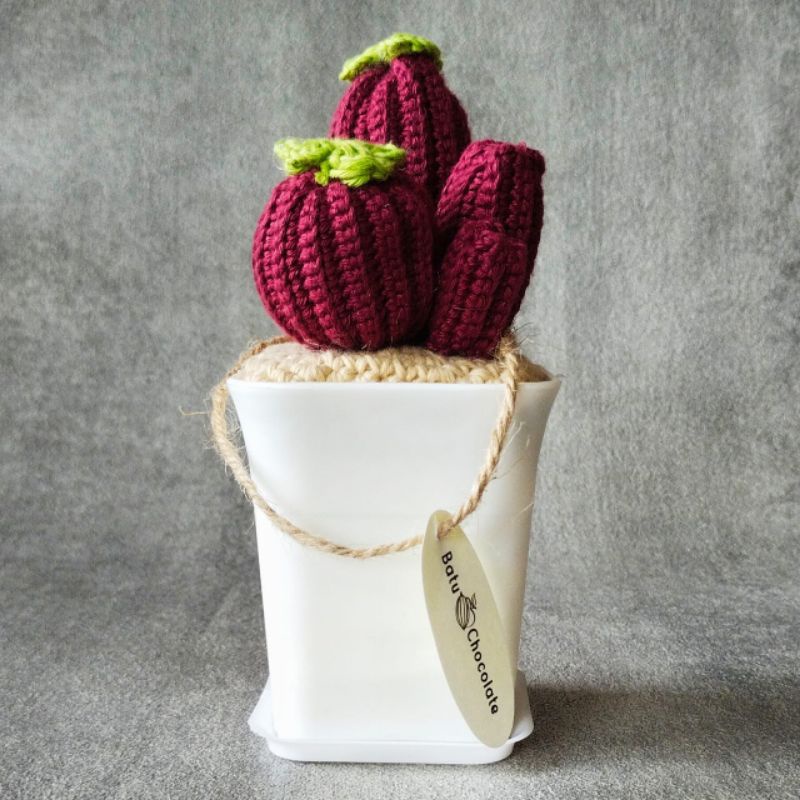 One Mandiri Sukses - Crochet Cactus Miniatur Cactus Rajut - Oleh Oleh kota Batu