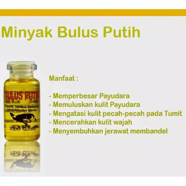 Minyak bulus putih original bpom/minyak bulus asli/minyak bulus original murah/pembesar payudara