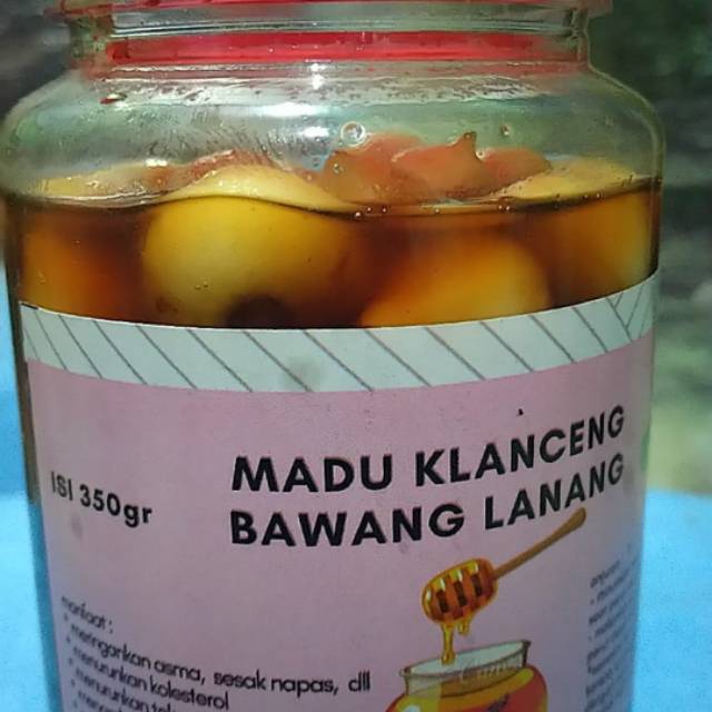 Madu Klanceng Bawang Lanang Indonesia