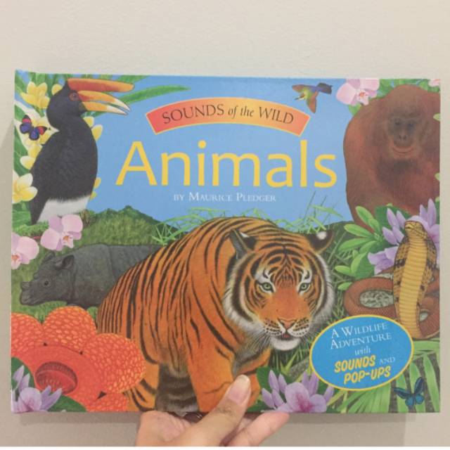 Sound of the wild book