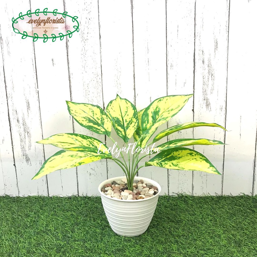 Tanaman Hias Daun Puring Kuning Semi Latex Artificial Pot Tawon D12 Plastik Pohon Pajangan Meja Deko