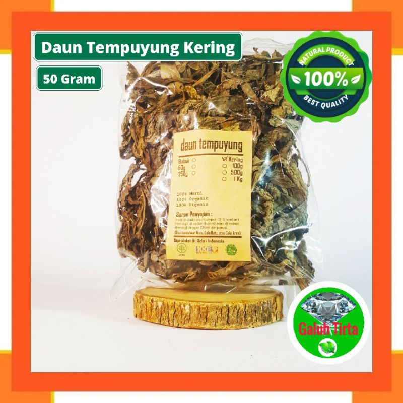 

DAUN TEMPUYUNG KERING 50 GRAM - Sonchus Arvensis - MURNI - JSR -